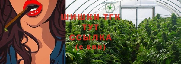 винт Михайлов