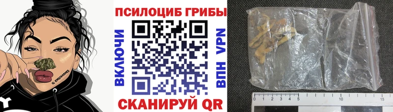 цены наркотик  ссылка на мегу вход  Псилоцибиновые грибы GOLDEN TEACHER  Богородск 