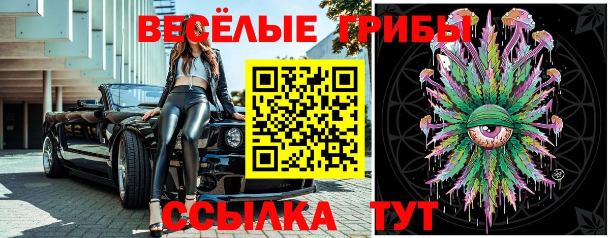 Псилоцибиновые грибы мухоморы Богородск