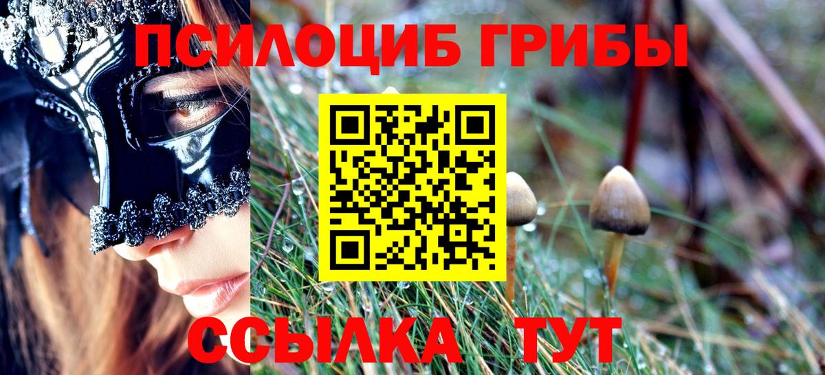 где купить наркотик  Богородск  Галлюциногенные грибы Psilocybine cubensis 