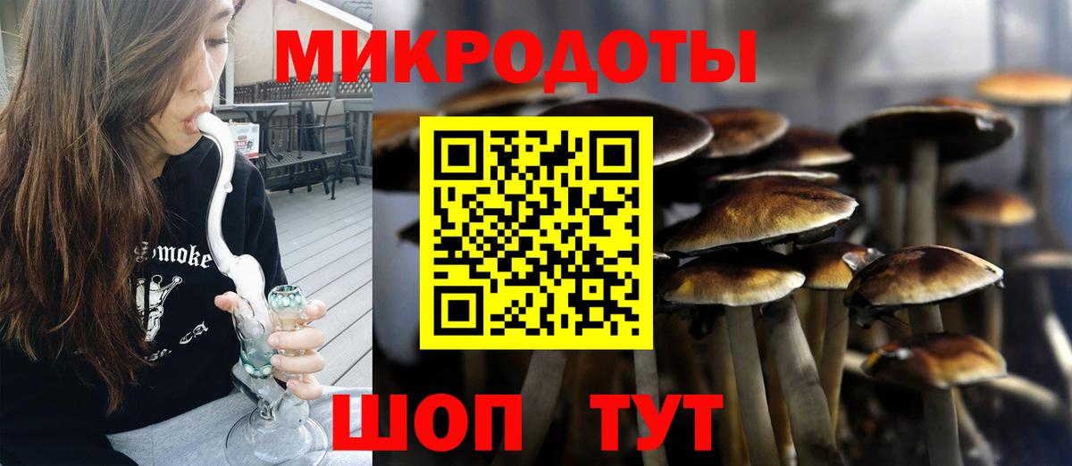 Галлюциногенные грибы мухоморы Богородск